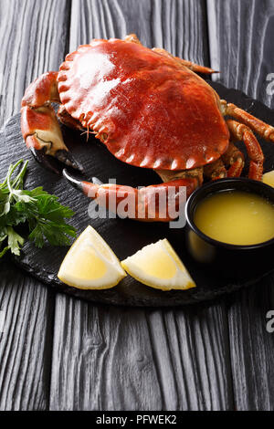 Lecker gekochte ganze braune Krabbe mit Soße, Zitrone und Petersilie auf einem Stein board Close-up auf einem Schwarzen Tisch. Vertikale Stockfoto
