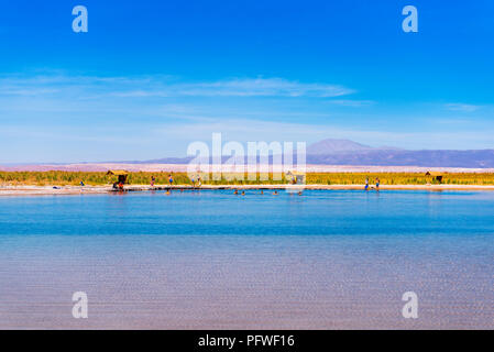 ATACAMA, CHILE - Januar 17, 2018: Landschaft in der Atacama-Wüste und Salt Lake. Kopieren Sie Platz für Text Stockfoto