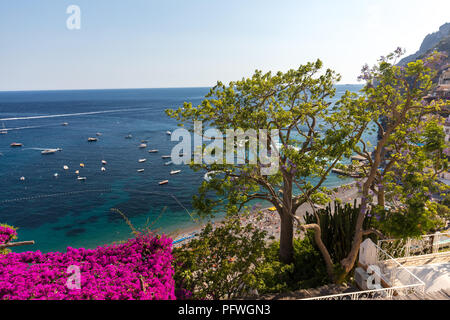 Positano durch rosafarbene Bougainvillea und Boote im Hintergrund eingerahmt. Bunte Positano, das Juwel der Amalfi Küste, mit seinen bunten Häusern und Stockfoto