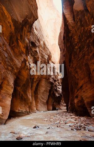 Die narrows Wanderung am Zion National Park, Utah, USA Stockfoto