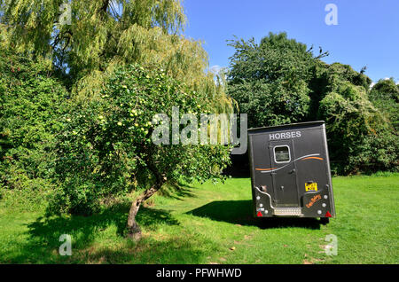 Pferdebox in einem Feld, Lose Dorf, Kent, England. Stockfoto