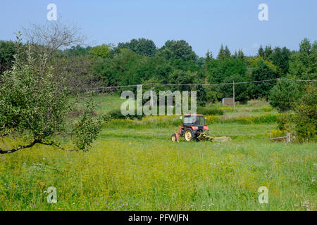 Bauer mit einer roten Traktor im grünen Feld in einem ländlichen Gebiet von Landschaft Zala in Ungarn arbeiten Stockfoto