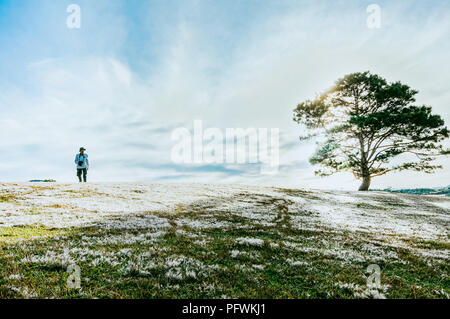 Greats Himmel und Wolken der Landschaft mit Nebel in der Dämmerung, Sonnenaufgang, Sonnenuntergang. pine Wald im Nebel mit einsamen Baum, einsamer Mann, und der Tau auf der Anlage Stockfoto