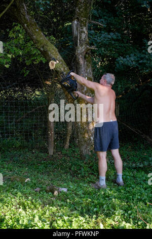 Mann mit einer Kettensäge einen großen Apfelbaum während Tragen nur Shorts und keine Schutzkleidung zala Ungarn zu schneiden Stockfoto