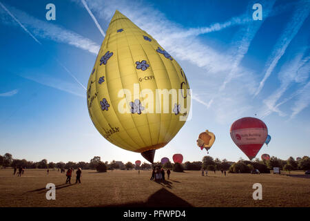 Ballons aus der Bristol Balloon Festival morgen Masse Aufstieg an Ashton Gericht Ansatz Durdham in Clifton zu Lande Aug 2018 UK Stockfoto