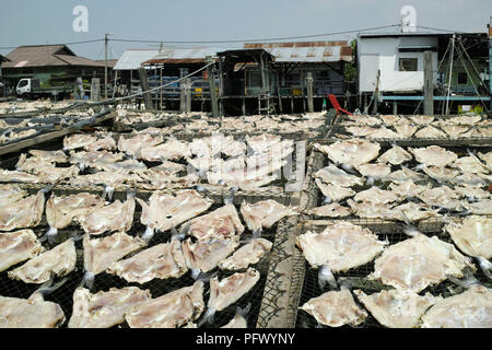 Frische Meeresfrüchte und Fisch. Sekinchan Fischerdorf, Halbinsel Malaysia. Stockfoto
