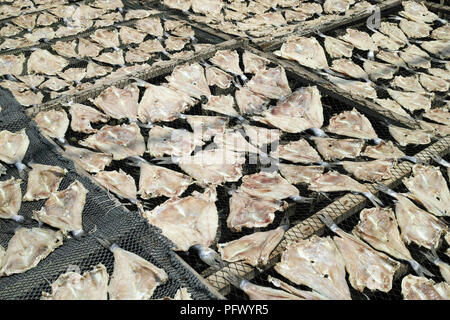 Frische Meeresfrüchte und Fisch. Sekinchan Fischerdorf, Halbinsel Malaysia. Stockfoto
