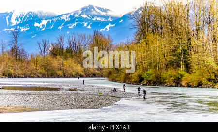 Die Lagune an der Great Blue Heron Nature Reserve in der Nähe von Chilliwack, British Columbia, Kanada mit den Coastal Mountains im Hintergrund Stockfoto