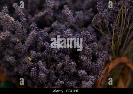 Trauben von organischen Lavendel in einem Korb. Stockfoto