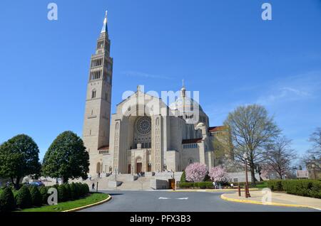 Basilika des Heiligtums Katholische Kirche, Washington DC, USA. Stockfoto