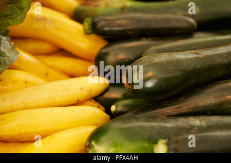 Organische Zucchini Zucchini oder zum Verkauf auf einen Markt. Stockfoto