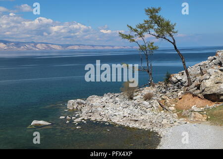 Bäume, durch starke Winterwinde twisted, wachsen aus den Felsen an der Küste auf der Insel Olchon, der größten Insel im Baikalsee, Russland, Juni 2017 Stockfoto