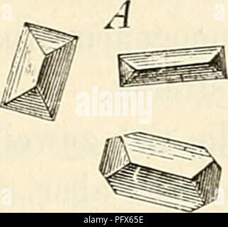 . Cursus der normalen Histologie zur Einführing in den Gebrauch des Mikroskopes, sowie in das practicche Studium der Gewebelehre. Die histologie; Mikroskopie. Die gewöhnlichsten Verunreinigungen der mikroskopischen Präparate. 75 andere Krystalle finden sich, Avenn sterben zu untersuchenden Organe schon etwas faul geworden sind, darunter vorzugsweise phosphorsaure Ammoniak-Magnesia (Abb. 20 A.), deren Krystalle eine ganz regelmässige Sog. Sargdeckelform haben, ferner oxalsaurer Kalk (Abb. 20 B.) in Form von Octaedern (SSrief - couvertform). B. V. L. Bitte beachten Sie, dass diese Bilder aus gescannten p extrahiert werden Stockfoto