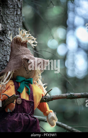 Close-up mit einer Vogelscheuche, Links hängen zwischen zwei Ästen, ohne Blätter, die in den dunklen Wald. Ein Konzept für Halloween. Stockfoto