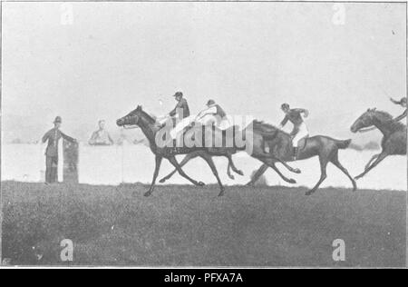 . Punkte des Pferdes; eine Abhandlung über den Körperbau, Bewegungen, Rassen und Evolution des Pferdes. Pferde. M. H. H. Abb. 309.- ein Ende an Kempton Park. 5 r-. x. Bitte beachten Sie, dass diese Bilder sind von der gescannten Seite Bilder, die digital für die Lesbarkeit verbessert haben mögen - Färbung und Aussehen dieser Abbildungen können nicht perfekt dem Original ähneln. extrahiert. Hayes, M. Horace (Matthäus Horace), 1842-1904. London, W. Thacker &Amp; Co Stockfoto