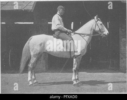 . Punkte des Pferdes; eine Abhandlung über den Körperbau, Bewegungen, Rassen und Evolution des Pferdes. Pferde. M. H. H. Abb. 270. - Herr Vansittart's Australian Horse Romantik.. M. H. H. Abb. 271.- Underbred australische Pferd. Auf S. 164.. Bitte beachten Sie, dass diese Bilder sind von der gescannten Seite Bilder, die digital für die Lesbarkeit verbessert haben mögen - Färbung und Aussehen dieser Abbildungen können nicht perfekt dem Original ähneln. extrahiert. Hayes, M. Horace (Matthäus Horace), 1842-1904. London, W. Thacker &Amp; Co Stockfoto