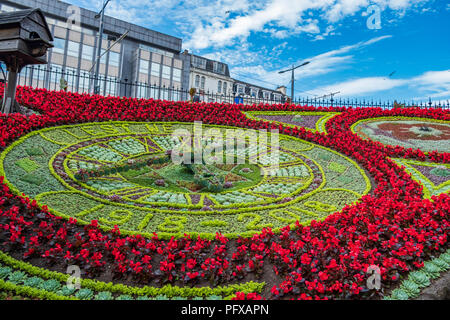 Aus Blumen an den Fürsten Straßen Gärten in Edinburgh, Schottland. UK an einem Sommernachmittag Stockfoto