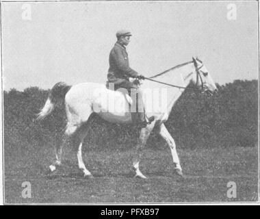 . Punkte des Pferdes; eine Abhandlung über den Körperbau, Bewegungen, Rassen und Evolution des Pferdes. Pferde. M. H. H. M. H. H. Abb. 100, Phasen des gewöhnlichen Spaziergang von einem hohen Kaste arabischen Abb. ioi. Zu s. 90.. Bitte beachten Sie, dass diese Bilder sind von der gescannten Seite Bilder, die digital für die Lesbarkeit verbessert haben mögen - Färbung und Aussehen dieser Abbildungen können nicht perfekt dem Original ähneln. extrahiert. Hayes, M. Horace (Matthäus Horace), 1842-1904. London, W. Thacker &Amp; Co Stockfoto