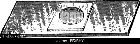 . Bakteriologie und Mykologie von Lebensmitteln. Essen. Abb. 30.-^ Arten des Dreschkorbs Folien und feuchten Kammern für die hängende Tropfen und hängender Block montiert. ist unter Studie. Die agar Block ist dann bis auf eine sterile Abdeckung Glas in der Weise, dass die Zellen des Organismus wird zwischen agar Block und die Abdeckung Glas sein, Abdeckung gleiten. Über die Kante der Abdeckung gleiten sollte eine kleine Menge Vaseline platziert werden der Schlupf an der richtigen Stelle zu halten und auch die Verdunstung zu verhindern, wenn der den Berg inkubiert werden diese Zubereitungen können für einige Zeit gehalten werden, wenn gewünscht wird. Hill (1902) hat die apphcation Dieser diskutiert Stockfoto