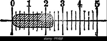 . Bakteriologie und Mykologie von Lebensmitteln. Essen. Abb. 28.- Spencer's Objektiv Firma Mikrometer Okular. "Auf der Achse der Schraube ist eine einstellbare Trommel, die auf jede gewünschte Position eingestellt werden kann. Dieses mit hundert Graduierung ist, zum Lesen, von denen ein Index Zeiger auf den Mikrometer Fall" in die Länge eines Objekts befestigt ist, ist die Skala bis eine der Millimeter Linien fällt mit dem Rand des Objekts geprüft, wie z. B. Nr. 0 in der Skizze, dann halten die gefrästen Kopf der Schraube schnell, bis die Trommel gedreht wird verschoben Stockfoto