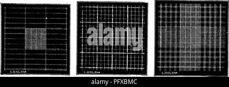 . Bakteriologie und Mykologie von Lebensmitteln. Essen. Thoma herrschenden Neubauer herrschenden Zappert Urteil. Breuer RuKng Fuchs und Rosenthal herrschenden Turk Herrschenden'. Bitte beachten Sie, dass diese Bilder sind von der gescannten Seite Bilder, die digital für die Lesbarkeit verbessert haben mögen - Färbung und Aussehen dieser Abbildungen können nicht perfekt dem Original ähneln. extrahiert. Tanner, Fred Wilbur, 1888-1957. New York, John Wiley & Amp; Söhne, Inc.; [etc. , Etc. ] Stockfoto