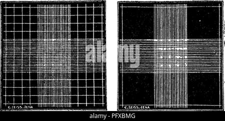 . Bakteriologie und Mykologie von Lebensmitteln. Essen. Bakteriologische APPAEATUS^^^^ 11 I'^l^^ l M-llllillllilll illl-B Biiiiii. Thoma herrschenden Neubauer herrschenden Zappert Urteil. Bitte beachten Sie, dass diese Bilder sind von der gescannten Seite Bilder, die digital für die Lesbarkeit verbessert haben mögen - Färbung und Aussehen dieser Abbildungen können nicht perfekt dem Original ähneln. extrahiert. Tanner, Fred Wilbur, 1888-1957. New York, John Wiley & Amp; Söhne, Inc.; [etc. , Etc. ] Stockfoto