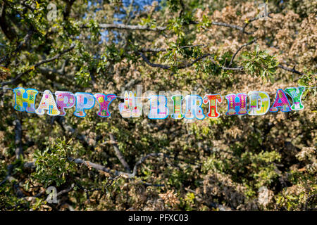 Detail einer Happy Birthday Nachricht über die Zweige eines gefallenen Eiche gestreckt, die Reste einer Geburtstagsfeier im brockwell Park, am 6. August 2018, in London, England. Stockfoto