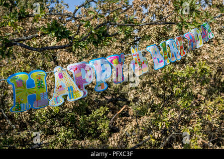 Detail einer Happy Birthday Nachricht über die Zweige eines gefallenen Eiche gestreckt, die Reste einer Geburtstagsfeier im brockwell Park, am 6. August 2018, in London, England. Stockfoto