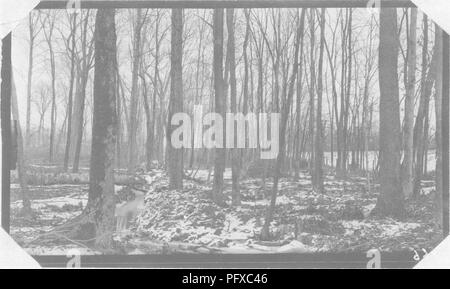 . Eisenbahn Wald Brandschutz. Waldbrände; Brandschutz; Feuerlöschung. Feuer auf der Lehigh Valley Railroad in der Nähe von Bloomsb - Ury, New Jersey. Abisolierte zehn Fuß Streifen wird in der Mitte des Bildes. Die verdünnt und über das Feuer Linie bxirned ist auf der rechten Seite der Streifen und die Eisenbahn ist in der extremen Rechten. 1910.. Ein Brand Linie im Sumpf. / Drei Fuß graben, tritt an die Stelle der zehn Fuß gelöscht, die für trockenen Boden erforderlich. Auf West Shore Railroad. 1910. IJew Jersey.. Bitte beachten Sie, dass diese Bilder aus gescannten Seite Bilder, die digital verbesserte fo wurden extrahiert werden Stockfoto