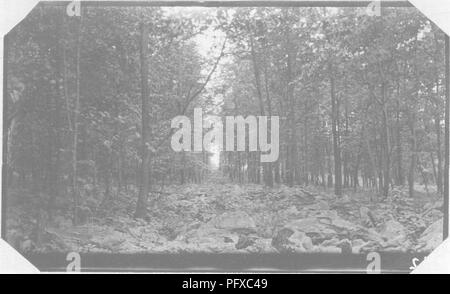 . Eisenbahn Wald Brandschutz. Waldbrände; Brandschutz; Feuerlöschung. 42. Feuer auf der Lehigh Valley Railroad in der Nähe von Bloomsb - Ury, New Jersey. Abisolierte zehn Fuß Streifen wird in der Mitte des Bildes. Die verdünnt und über das Feuer Linie bxirned ist auf der rechten Seite der Streifen und die Eisenbahn ist in der extremen Rechten. 1910.. Bitte beachten Sie, dass diese Bilder sind von der gescannten Seite Bilder, die digital für die Lesbarkeit verbessert haben mögen - Färbung und Aussehen dieser Abbildungen können nicht perfekt dem Original ähneln. extrahiert. Lamont, John Donald. [Ithaca, N.Y.] Cornell University Stockfoto