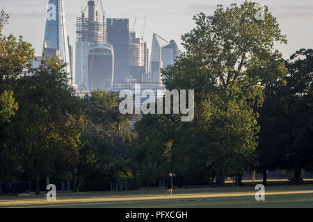 Mit Blick auf die Skyline von Financial District in der Hauptstadt, die Stadt London in der Ferne, man schaut in die helle Morgensonne in Ruskin Park, am 10. August 2018 in London, England. Stockfoto