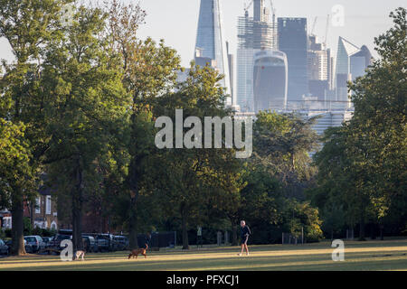 Mit Blick auf die Skyline von Financial District in der Hauptstadt, die Stadt London in der Ferne, der Mensch und seine Hunde Spaziergang in Ruskin Park, am 10. August 2018 in London, England. Stockfoto