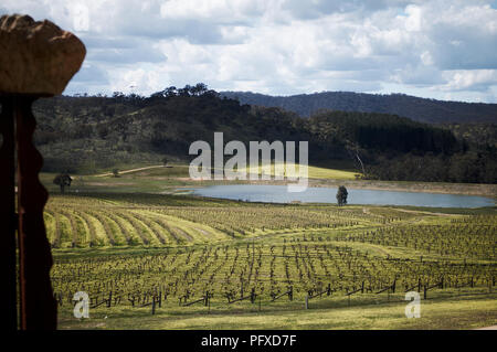 Rebe in einem Weinberg in den Pyrenäen von Victoria, Australien Stockfoto