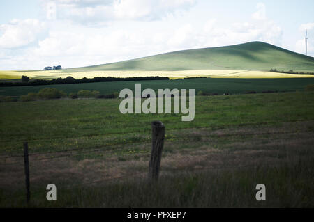 Ein Pool von Licht markieren ein Feld von Raps in einer ruhigen Hanglage, Ackerland Landschaft Stockfoto