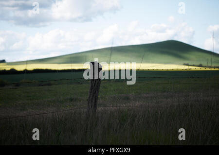 Ein Pool von Licht markieren ein Feld von Raps in einer ruhigen Hanglage, Ackerland Landschaft Stockfoto