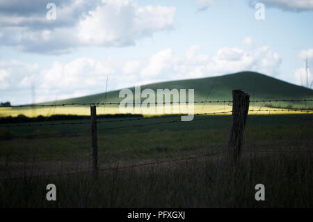 Ein Pool von Licht markieren ein Feld von Raps in einer ruhigen Hanglage, Ackerland Landschaft Stockfoto