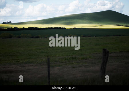 Ein Pool von Licht markieren ein Feld von Raps in einer ruhigen Hanglage, Ackerland Landschaft Stockfoto