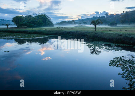 Golfplatz Dämmerung Wasser Löcher Nebel Bäume Tal Stockfoto