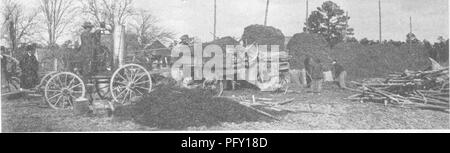 . Die Enzyklopädie der praktischen Gartenbau; eine Referenz System der kommerziellen Gartenbau, über die praktische und wissenschaftliche Phasen der Gartenbau, mit besonderem Bezug auf Obst und Gemüse;. Gartenarbeit; Obst - Kultur; Gemüseanbau. Erdnüsse 1581, wenn die Entnahme ist bis in den späten Herbst verschoben. Wenn die Hülsen nicht gut im Stapel-ing geschützt sind, viele werden durch die COM-mon Blackbird zerstört werden. In einigen Bereichen ist es notwendig, so früh wie möglich zu holen schweren Verlust von den Verwüstungen der Bereich Mäuse und Ratten zu verhindern, während die Erdnüsse in der Schock. Wenn Erdnüsse sind nicht gut gestapelt t Stockfoto