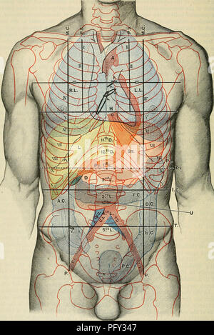 Cunninghams *Text-Book of Anatomy* ist eine umfassende Ressource zur menschlichen Anatomie und deckt die Oberfläche und die chirurgische Anatomie des menschlichen Körpers ab. Es bietet detaillierte Abbildungen und Beschreibungen der Organe, Systeme und Strukturen des Körpers und bietet eine wertvolle Referenz für Medizinstudenten und Fachleute auf dem Gebiet der Humanbiologie und Chirurgie. Stockfoto