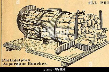 . Currie's Farm und Garten jährliche: Frühling 1920 45. Jahr. Blumen Samen Kataloge, Leuchtmittel (Pflanzen) Samen Samen Kataloge Kataloge; Gemüse; Baumschulen (Gartenbau) Kataloge; Pflanzen, Zierpflanzen Kataloge; Gartengeräte und Zubehör Kataloge. Liste der GARTEN WERKZEUGE FÜR 1920. 89 GARTEN IMPLEMENTIERT UND VORAUSSETZUNGEN ALLE PREISE KÖNNEN OHNE VORANKÜNDIGUNG GEÄNDERT WERDEN.. Pliiladelphia AMitariiguM Bunelier.. Bitte beachten Sie, dass diese Bilder extrahiert werden aus der gescannten Seite Bilder, die digital haben für die Lesbarkeit verbessert - Färbung und Aussehen dieser Abbildungen können nicht perfekt aussehen Stockfoto