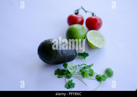 Avocado, Kalk in der Hälfte, Tomaten auf der Rebe und Koriander/Cinchona pubescens in einer Gruppe auf einem weißen Hintergrund platziert Stockfoto