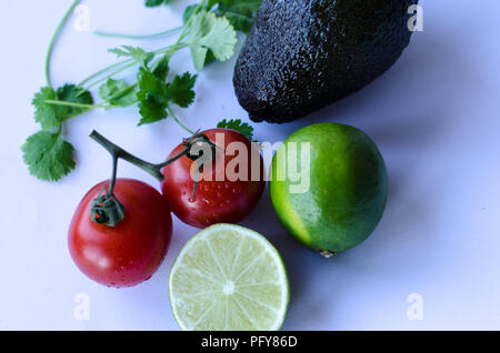 Avocado, Kalk in der Hälfte, Tomaten auf der Rebe und Koriander/Cinchona pubescens in einer Gruppe auf einem weißen Hintergrund platziert Stockfoto