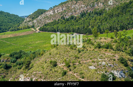 Panoramablick auf die umliegende Landschaft von Segesta, Antike griechische Stadt in Sizilien, Süditalien. Stockfoto