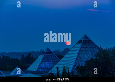 Sun steigt durch Rauch Himmel, Muttart Conservatory Pyramiden, Edmonton, Alberta, Kanada. Stockfoto