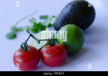 Avocado, Kalk in der Hälfte, Tomaten auf der Rebe und Koriander/Cinchona pubescens in einer Gruppe auf einem weißen Hintergrund platziert Stockfoto