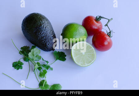 Avocado, Kalk in der Hälfte, Tomaten auf der Rebe und Koriander/Cinchona pubescens in einer Gruppe auf einem weißen Hintergrund platziert Stockfoto