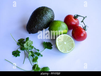 Avocado, Kalk in der Hälfte, Tomaten auf der Rebe und Koriander/Cinchona pubescens in einer Gruppe auf einem weißen Hintergrund platziert Stockfoto