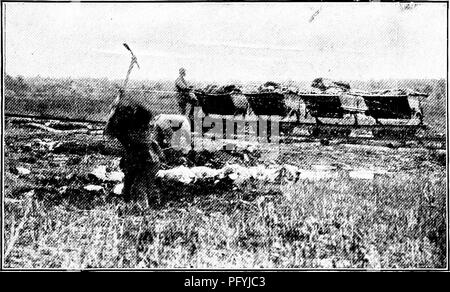 . Unsere Suche nach einer Wüste; ein Konto von zwei ornithologische Expeditionen in Venezuela und in British Guyana. Natural History; Vögel. Einer Frau, die ERFAHRUNGEN IN VENEZUELA. 93 Lichter von Guanoco uns menschlicher Habita zu erinnern. Ich träumte in der Nacht von in den Rücken gefallen, von einem heulenden Affe, während die Safe der Pitch Lake Unternehmen in durch ein Band der heulenden Aras gebrochen war! Am Morgen nach unserer Ankunft am Guanoco wir traurig Abschied von der "Josefa Jacinta." Als wir ihre Segel weg sahen wir uns mit der Planung und eine längere Reise auf ihr getröstet. Stockfoto