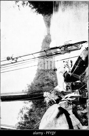 . Unsere Suche nach einer Wüste; ein Konto von zwei ornithologische Expeditionen in Venezuela und in British Guyana. Natural History; Vögel. Das LAND VON EINEM EINZIGEN BAUM. 31. Bitte beachten Sie, dass diese Bilder sind von der gescannten Seite Bilder, die digital für die Lesbarkeit verbessert haben mögen - Färbung und Aussehen dieser Abbildungen können nicht perfekt dem Original ähneln. extrahiert. Beebe, Mary; Beebe, William, 1877-1962, gemeinsamen Thema. London, Constable Stockfoto